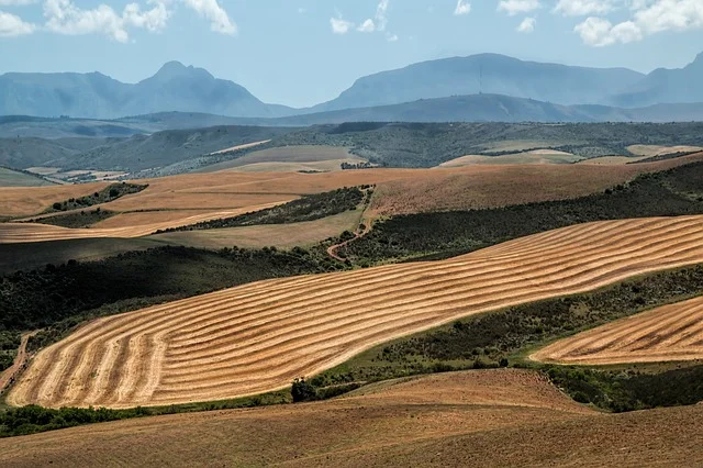 Stato di Calamità Naturale