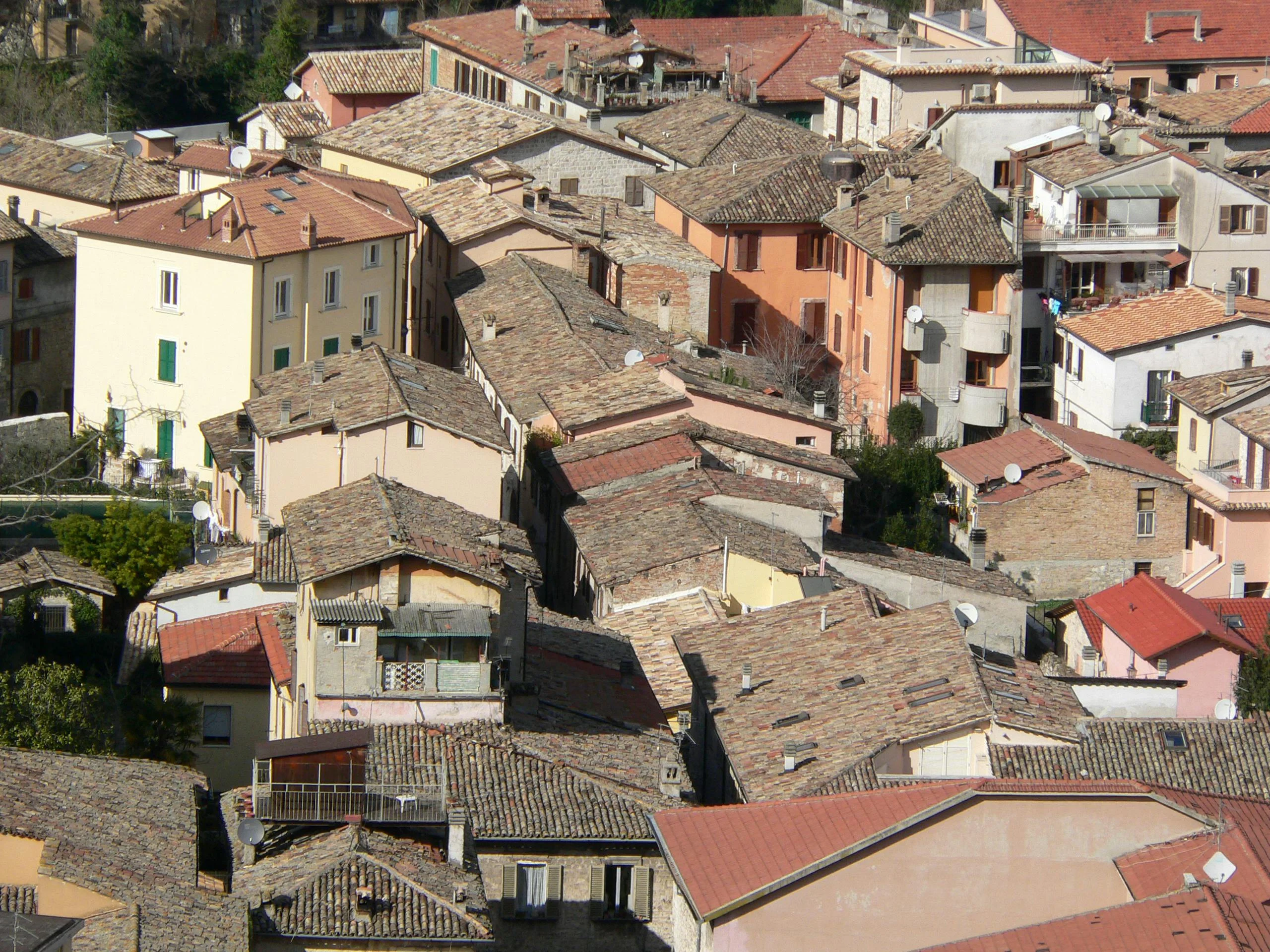 Misura Antispopolamento- Credito di Imposta 2024