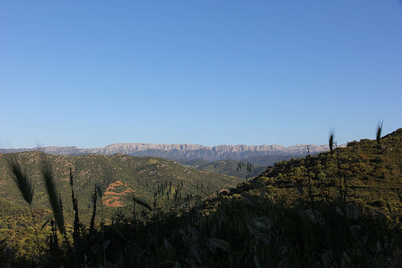 CORSO PER GUIDE AMBIENTALI ESCUSIONISTICHE