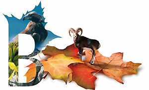 Autunno in Barbagia 2012