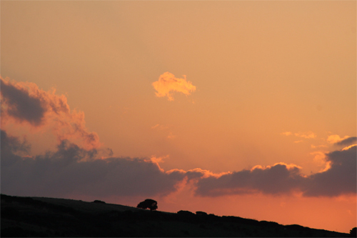 Tramonto  (foto Antonio Marras)