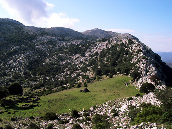 Monte Albo - Sa 'e Mussinu  (foto Antonello Lai)