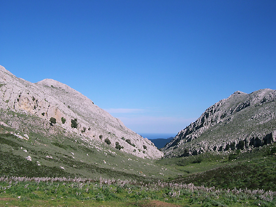 Panorama del territorio circostante  (foto Comune di Lula)