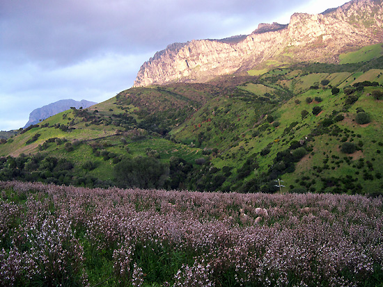 Primavera (foto Comune di Lula)